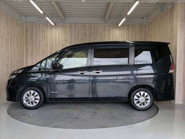 SERENA  S-HYBRID