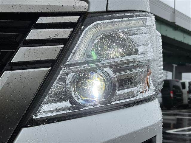 CARAVAN van 4WD