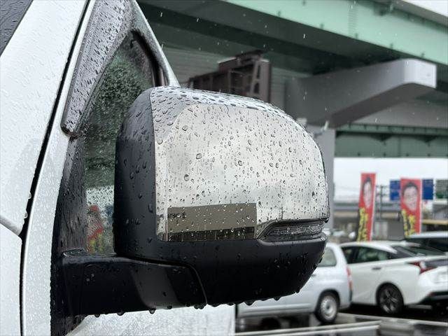 CARAVAN van 4WD