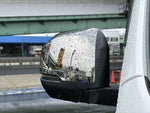 CARAVAN van 4WD