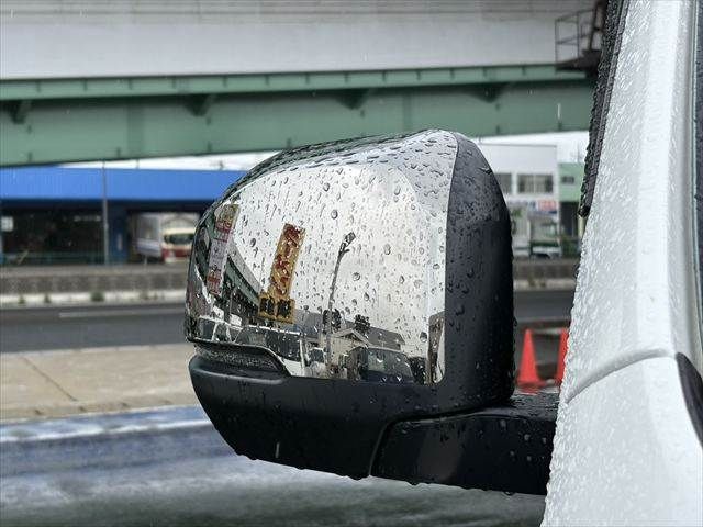 CARAVAN van 4WD