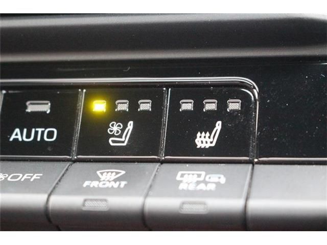 CROWN SPORT
