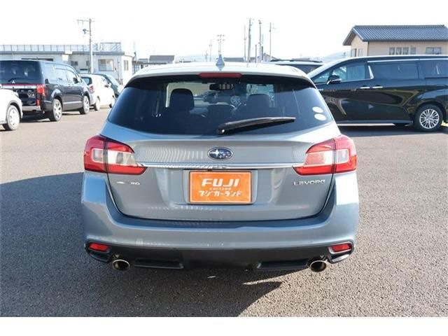 LEVORG