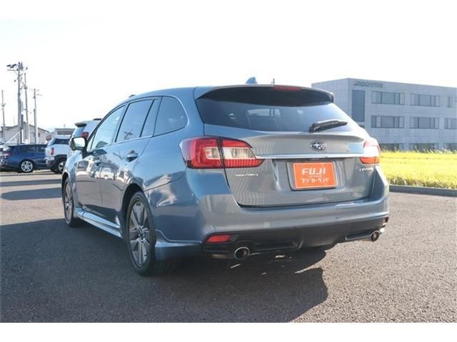 LEVORG