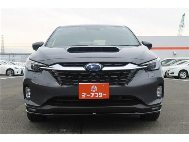 LEVORG LAYBACK