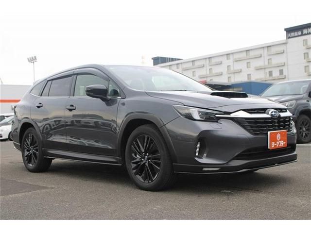 LEVORG LAYBACK