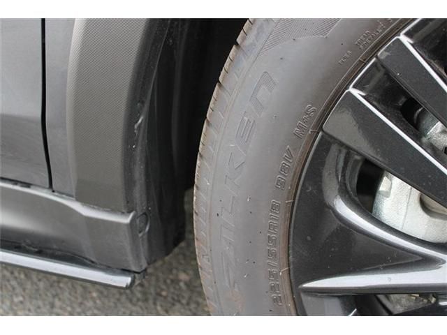 LEVORG LAYBACK