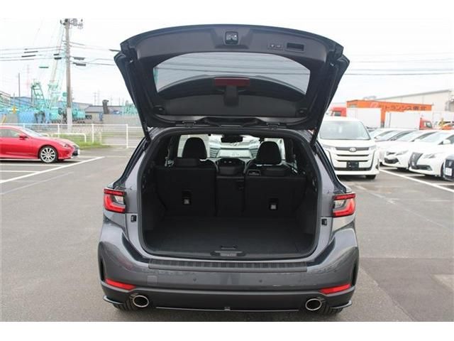 LEVORG LAYBACK