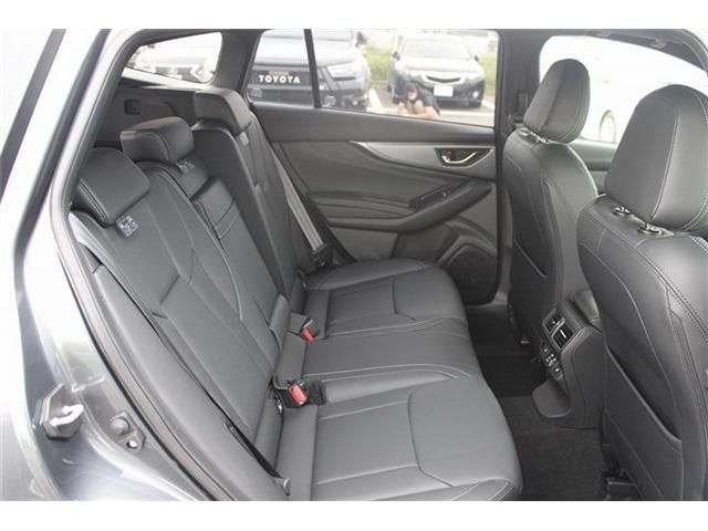 LEVORG LAYBACK