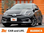 AURIS HYBRID