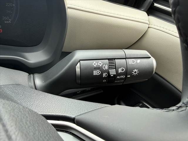LEXUS LBX