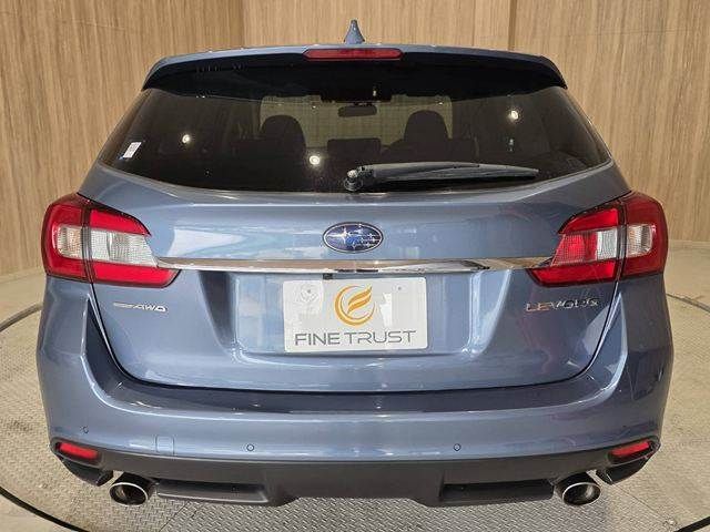 LEVORG