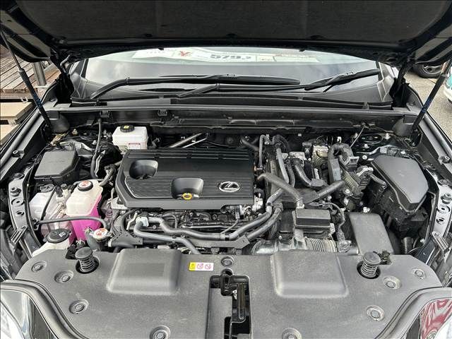 LEXUS NX350h