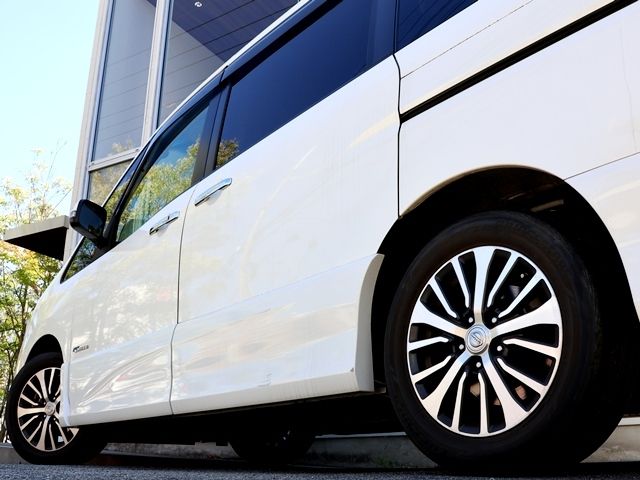 SERENA  S-HYBRID