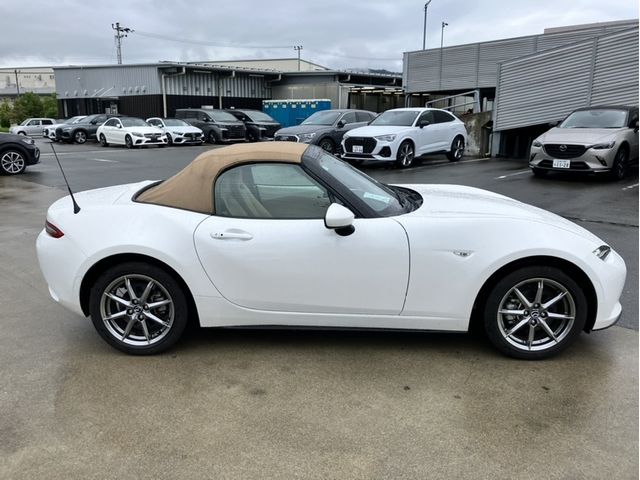 ROADSTER