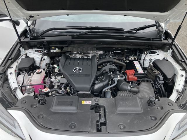 LEXUS NX350 AWD