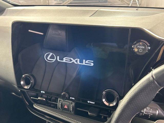 LEXUS NX450h+ AWD