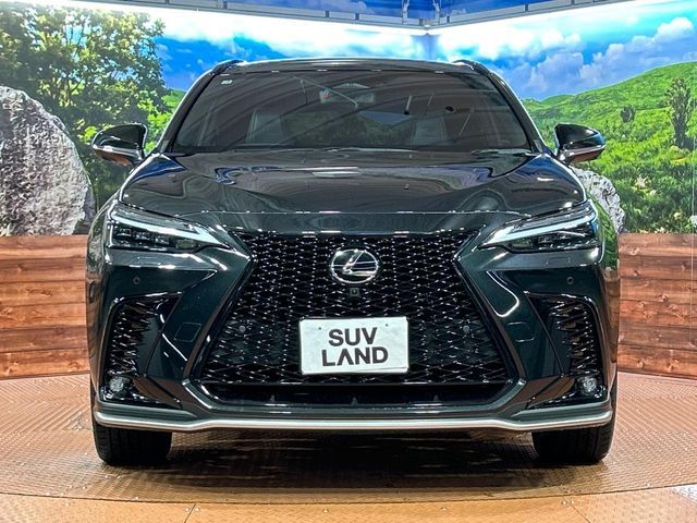 LEXUS NX450h+ AWD