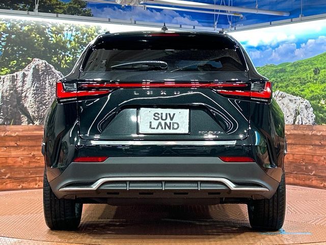 LEXUS NX450h+ AWD