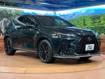 LEXUS NX450h+ AWD