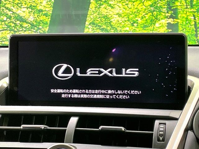 LEXUS NX300