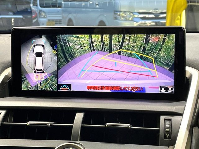 LEXUS NX300
