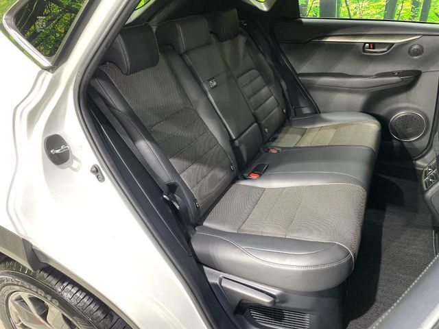 LEXUS NX300
