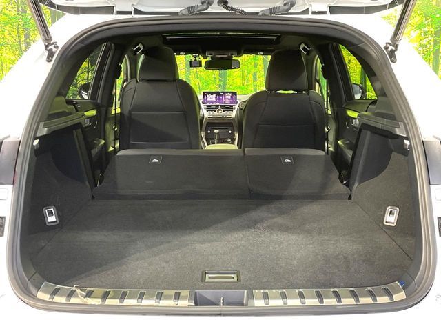 LEXUS NX300