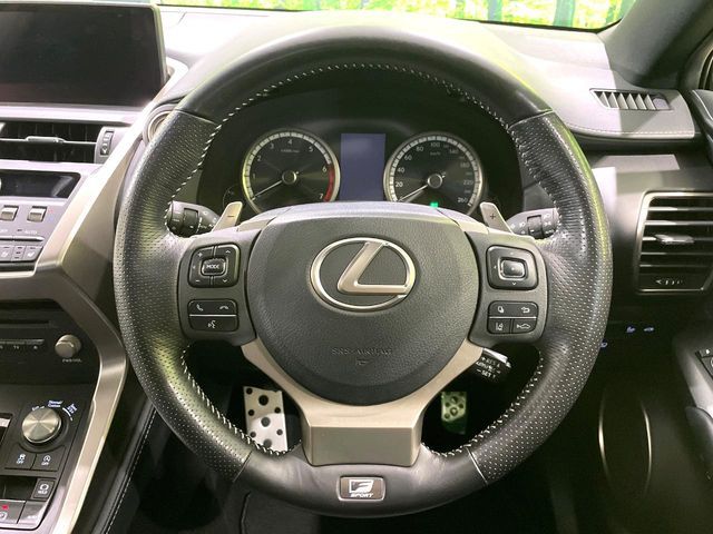 LEXUS NX300
