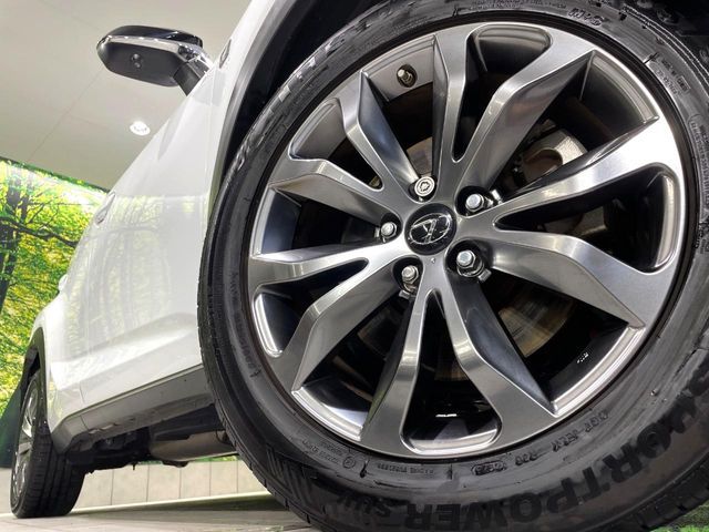 LEXUS NX300