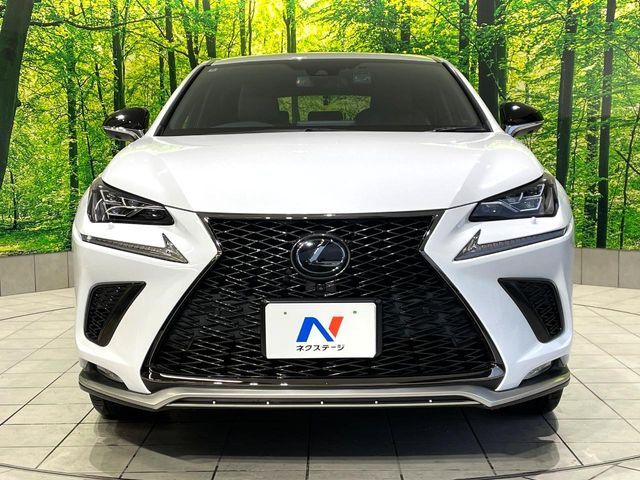LEXUS NX300