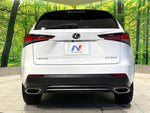 LEXUS NX300