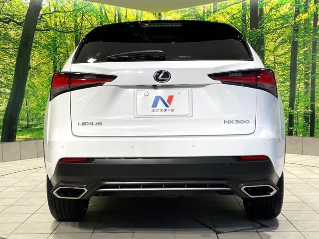 LEXUS NX300