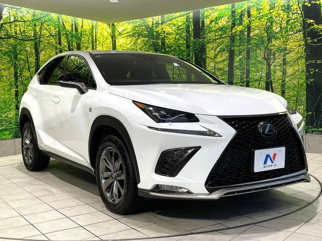 LEXUS NX300