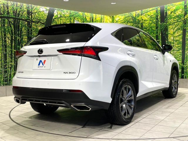 LEXUS NX300