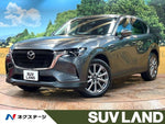 CX-60