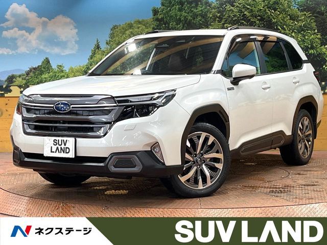 FORESTER