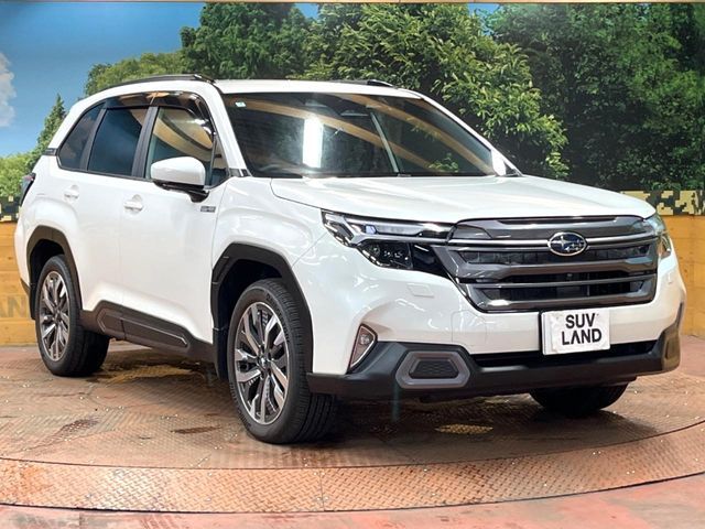 FORESTER