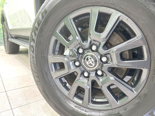 LANDCRUISER 250