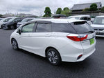 SHUTTLE HYBRID
