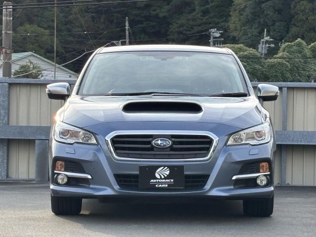 LEVORG