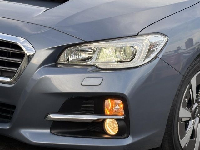 LEVORG