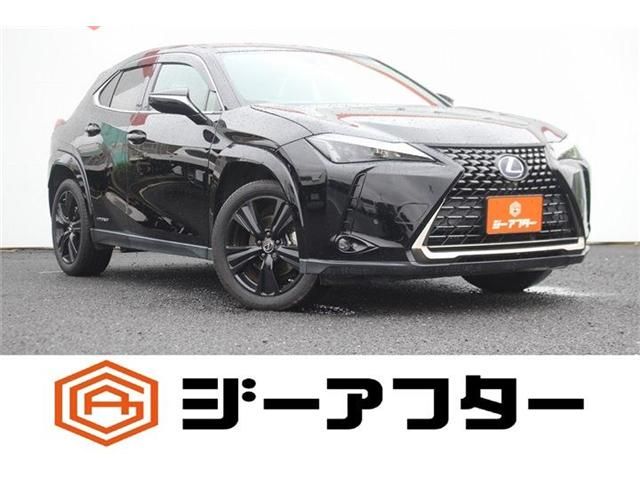 LEXUS UX250h