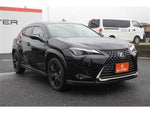 LEXUS UX250h