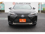 LEXUS UX250h