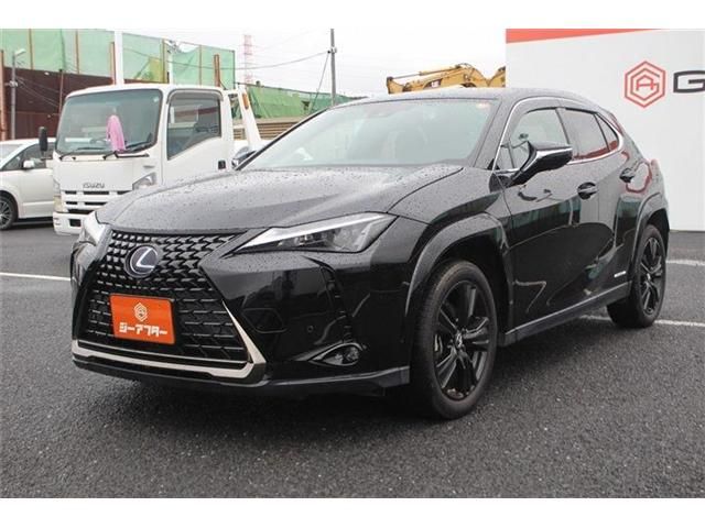 LEXUS UX250h