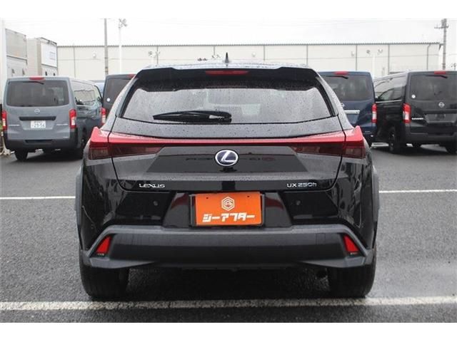 LEXUS UX250h