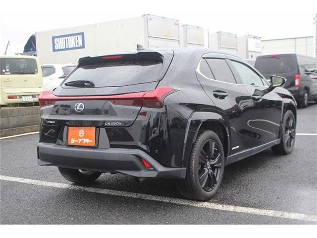 LEXUS UX250h