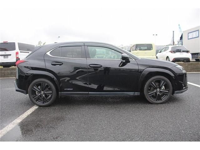 LEXUS UX250h