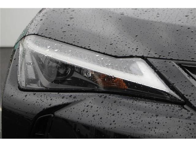 LEXUS UX250h